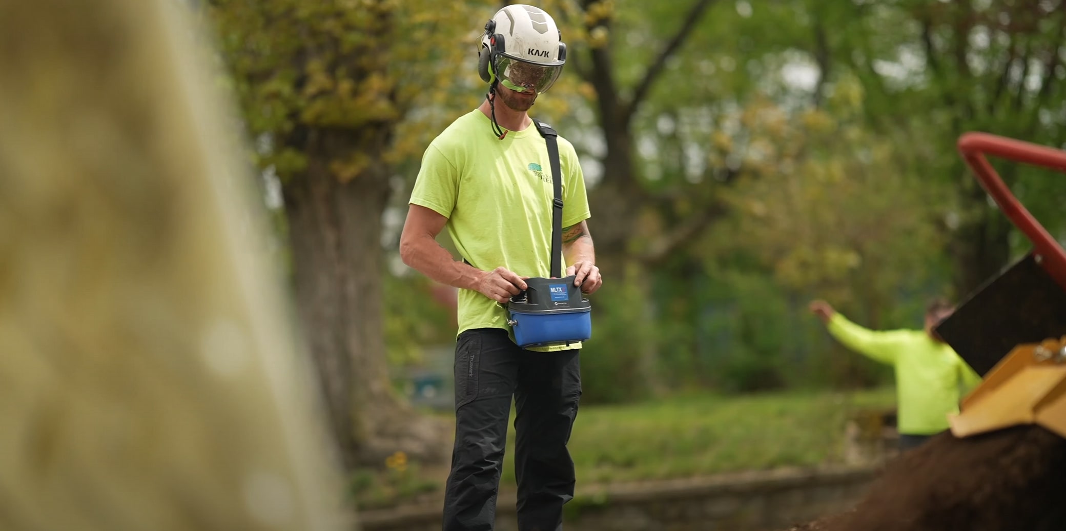 Tree Health & Maintenance service in Mansfield, TX